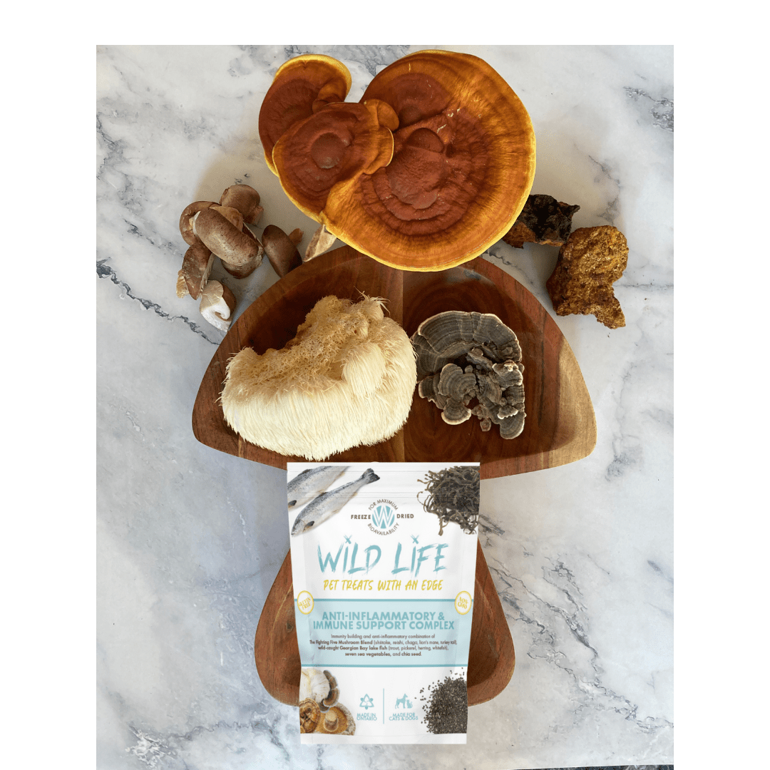 Wild Life Pet Treats - Wild Life Pet Treats