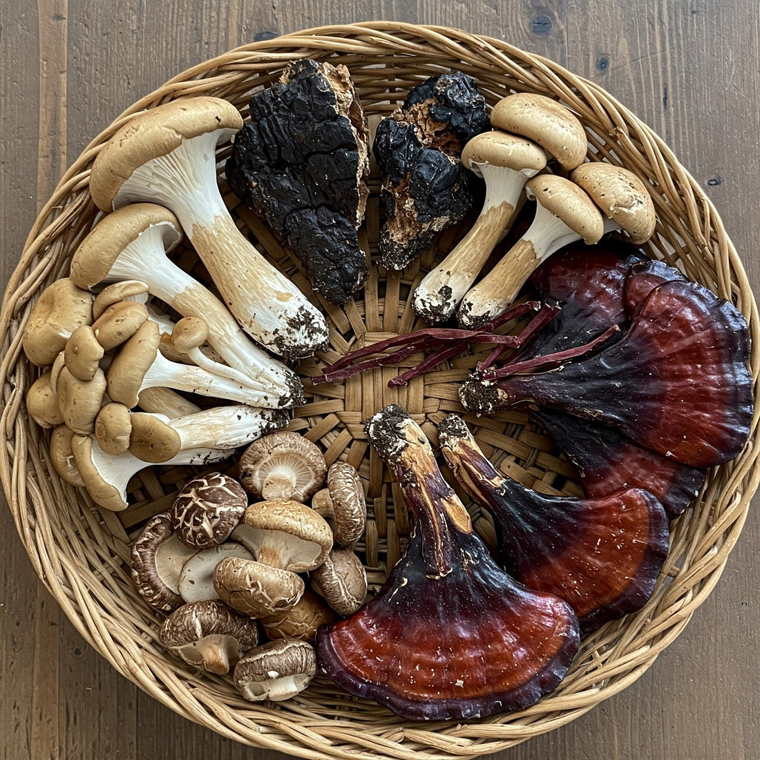 Gut Feeling: How Beta-Glucan in Wild Life Pet Treats Aids Canine Digestion - Wild Life Pet Treats