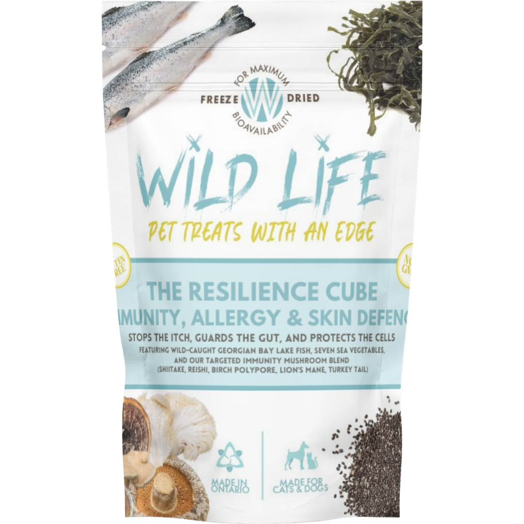 Resilience Cube - Treats for Senior Dogs & Cats - Lab-Verified