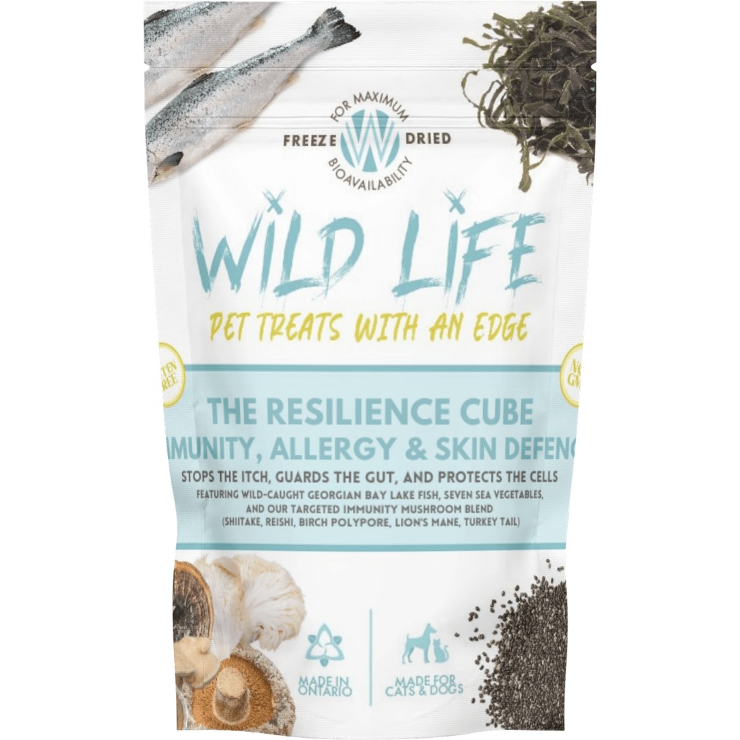Resilience Cube - Treats for Senior Dogs & Cats - Lab - Verified - Wild Life Pet Treats